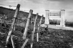 Route des Grands Crus 9684.jpg